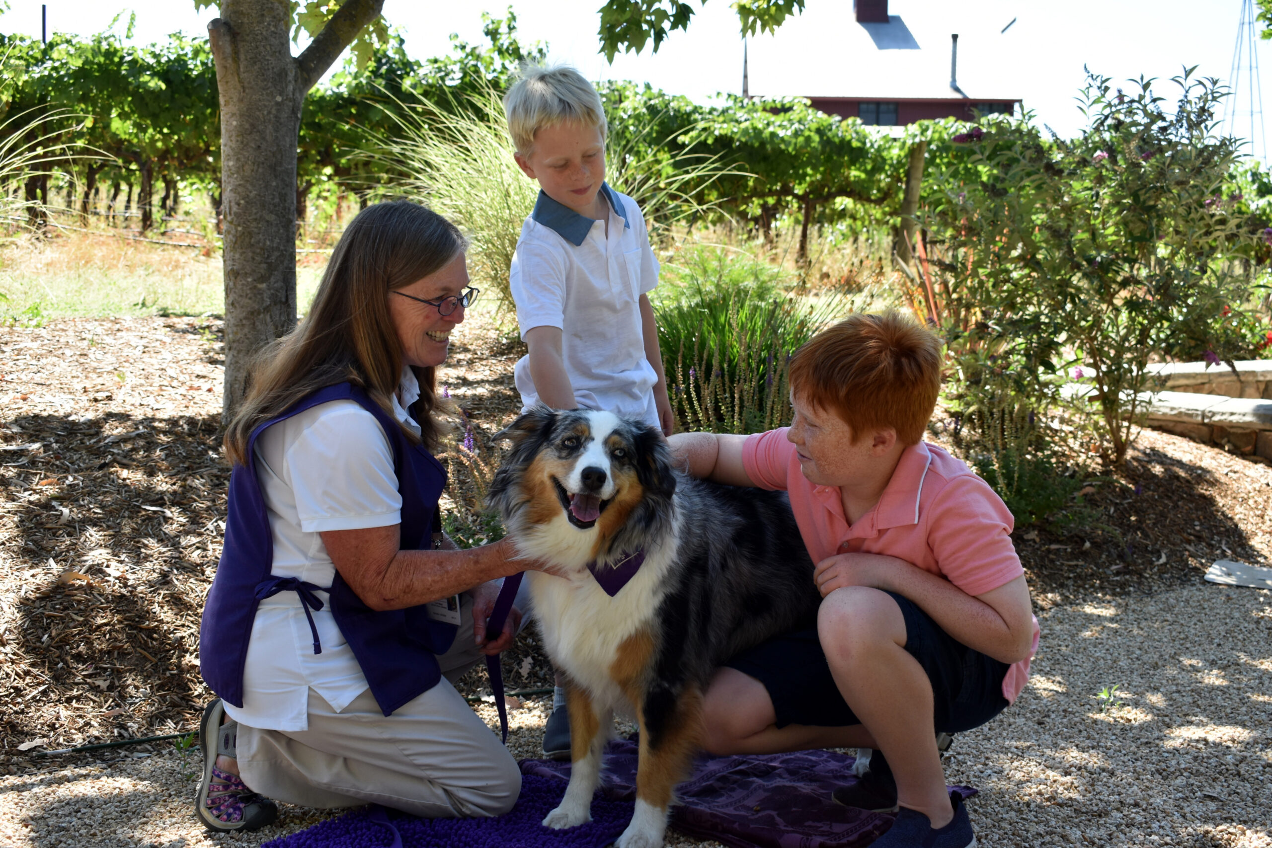 Family petting dog in sunny garden