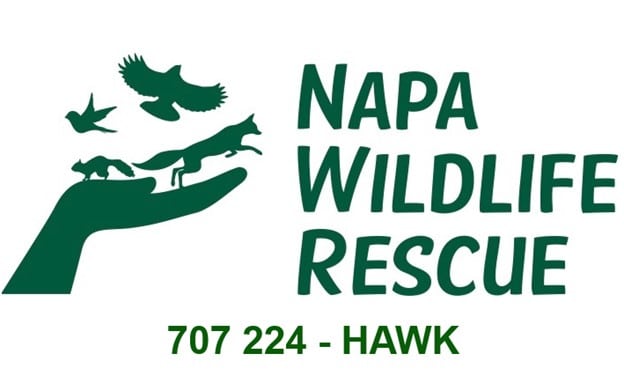 Napa Wildlife Rescue - CanDo’s Napa Valley Give!Guide