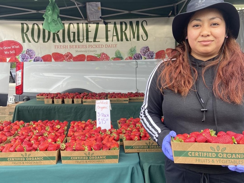 Woman selling organic strawberries at farm stand.