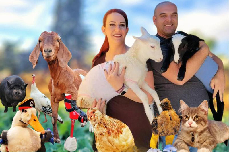 Couple holding goats surrounded by farm animals.