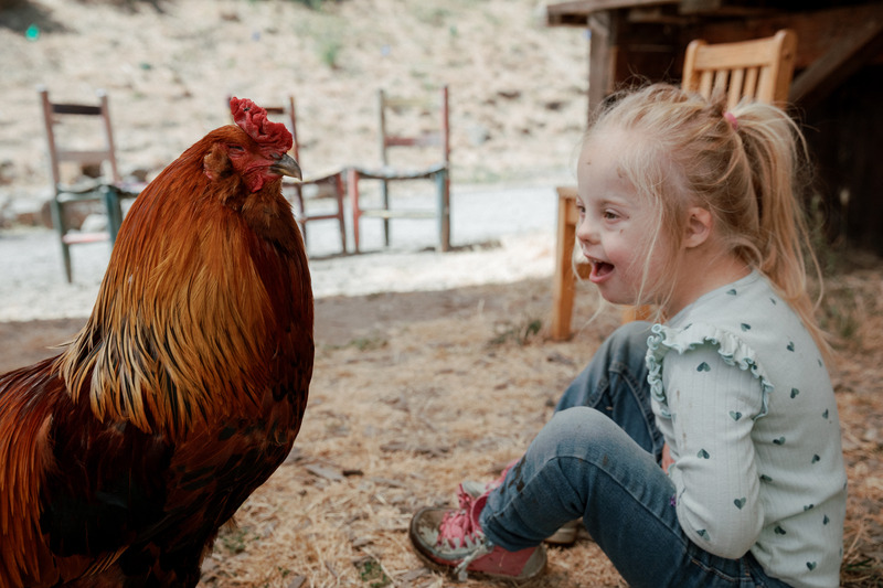 Child smiling at a rooster outdoors.