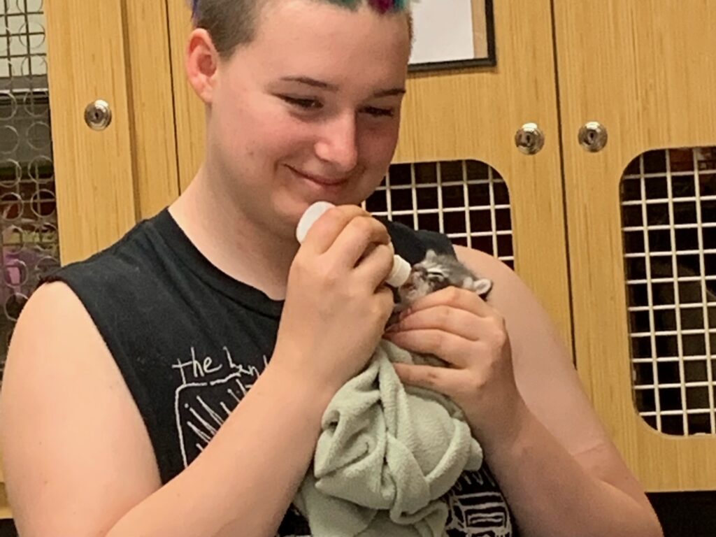 Person bottle-feeding a kitten wrapped in a blanket.