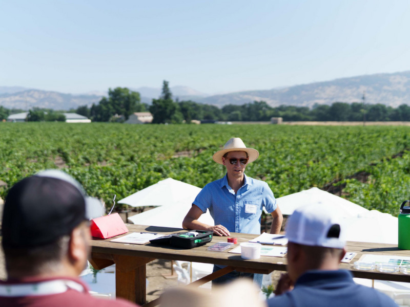 Outdoor meeting in vineyard with speaker in hat.