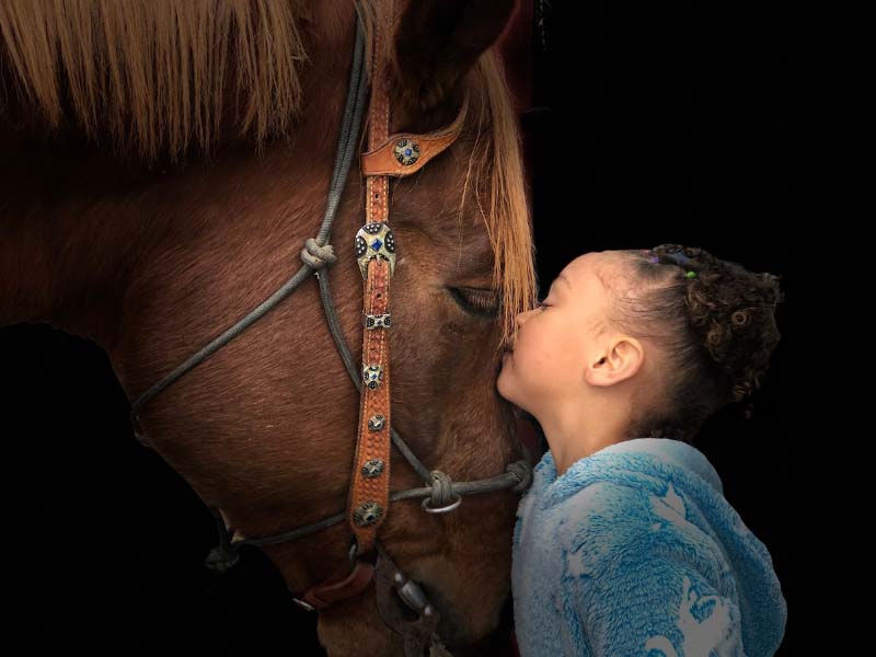 Child kissing a horse affectionately on the nose.